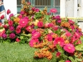 DSCF0096